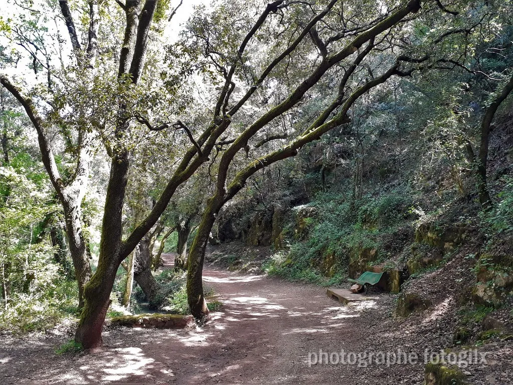paysage var