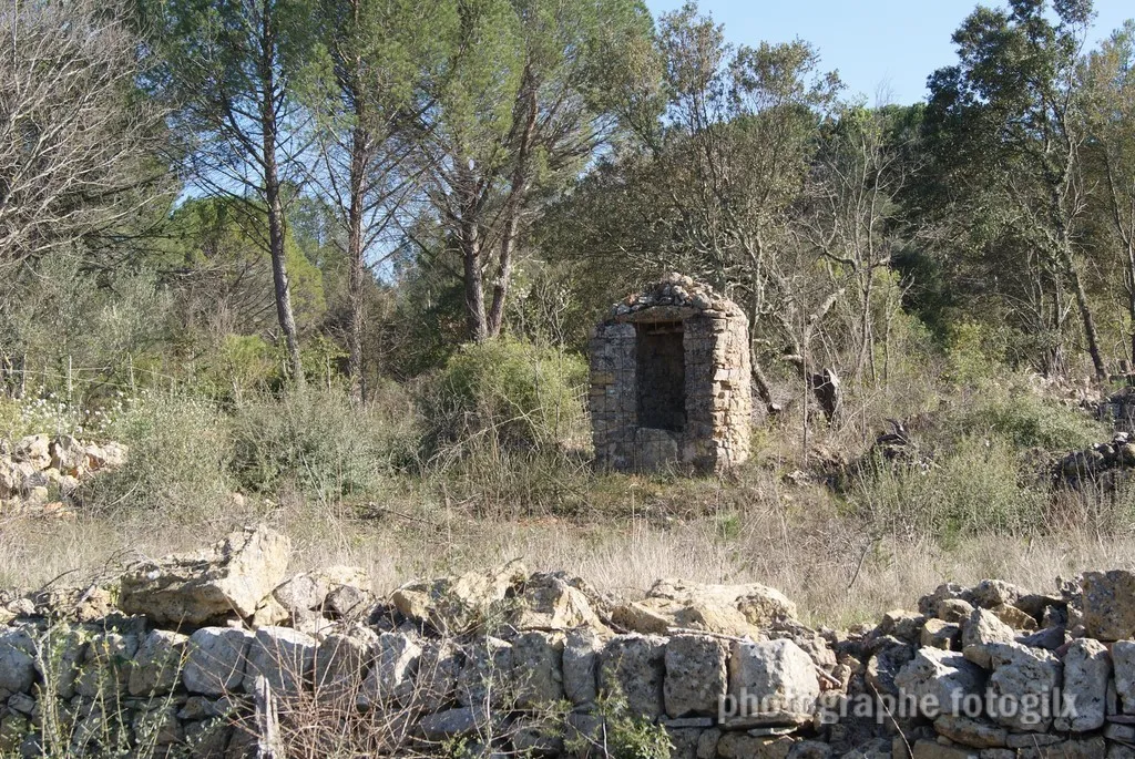 nature var