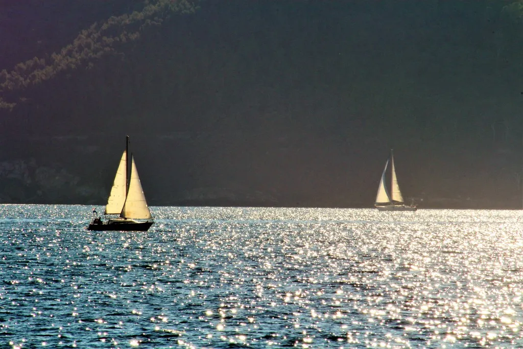 mer var