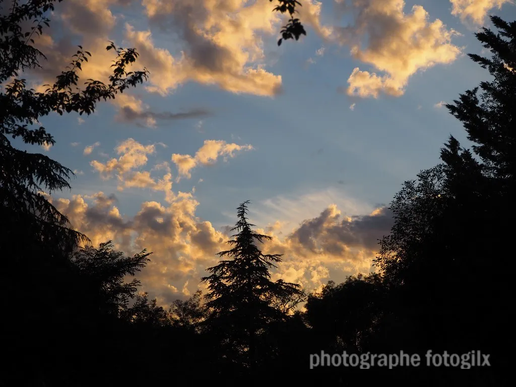 nature var