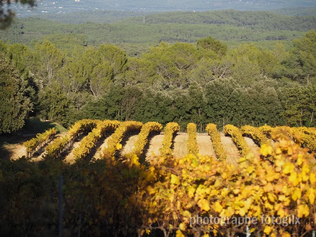 paysage var