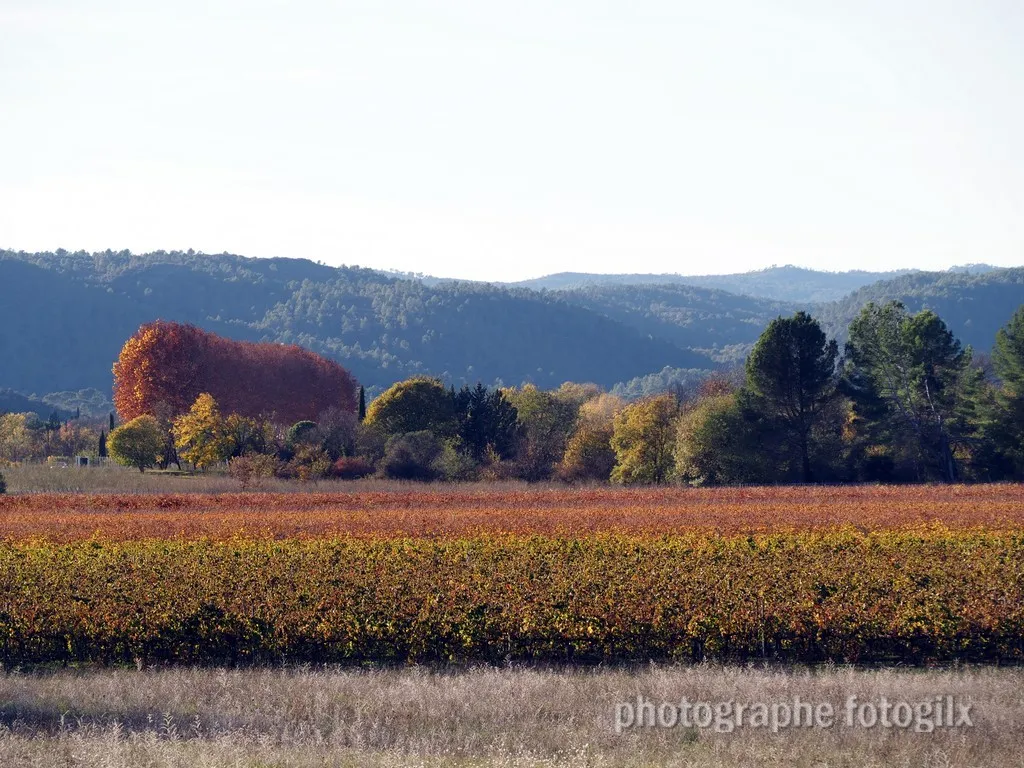 paysage var