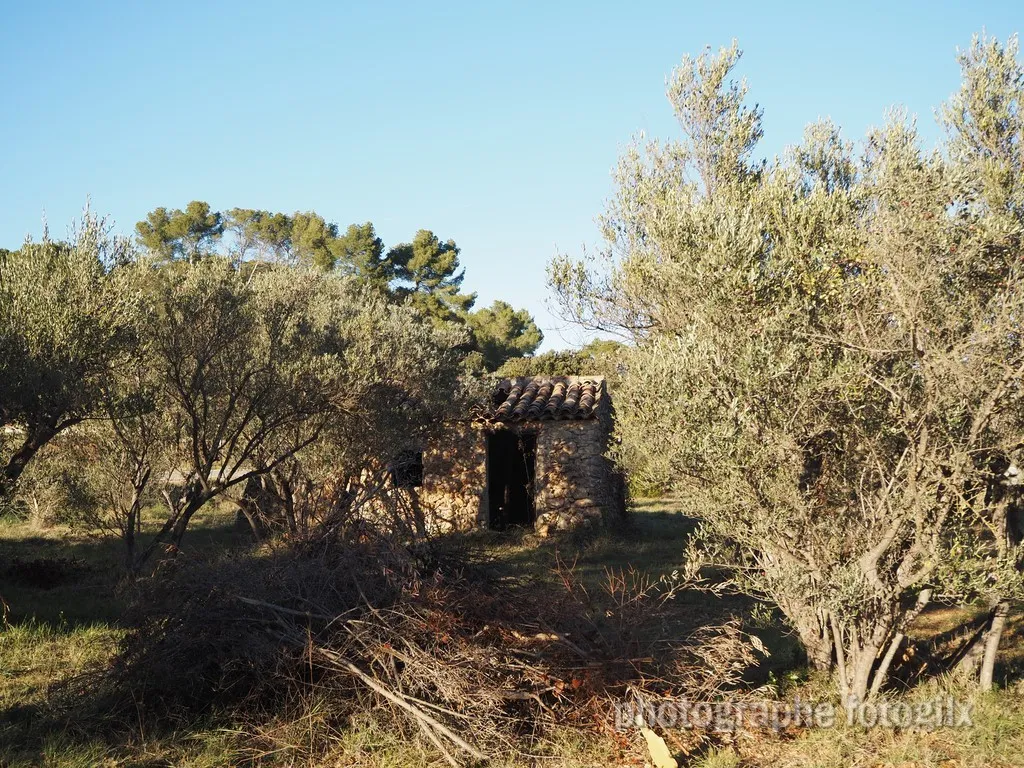 nature var
