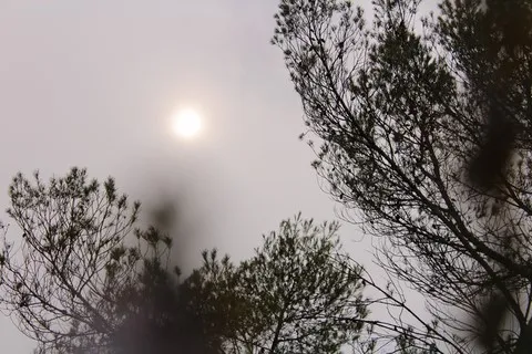 nature var