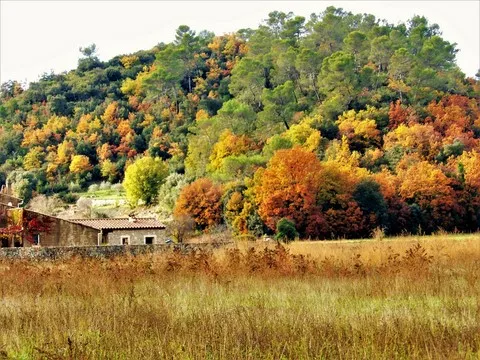 automne var