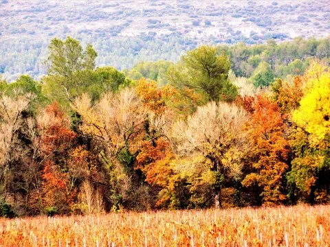 automne var