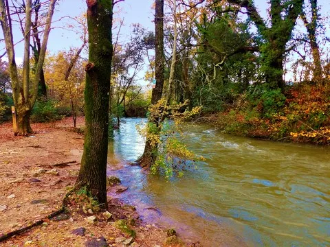 automne var
