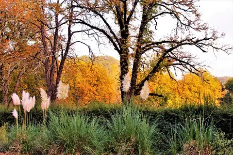automne var