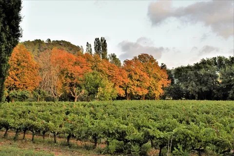 automne var