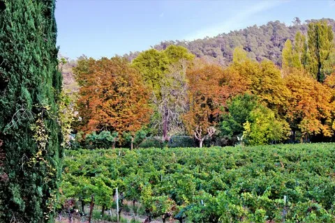 automne var