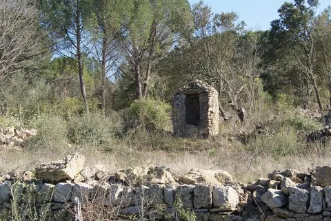 nature var