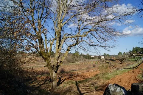 nature var