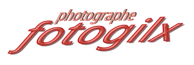 logo du site fotogilx