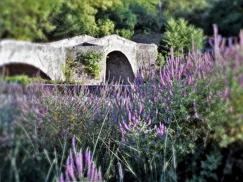 paysage var