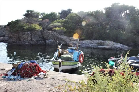 mer var