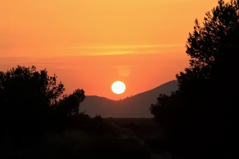 nature var
