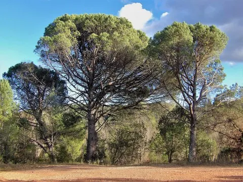 paysage var