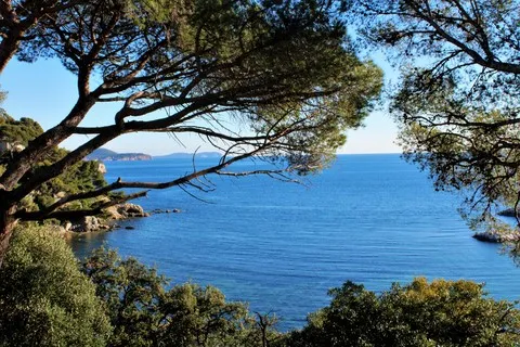 mer var
