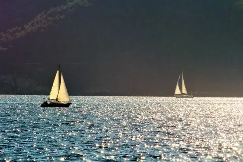 mer var