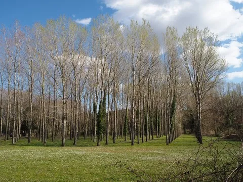 paysage var