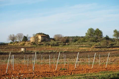 paysage var