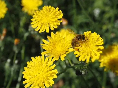 Accueil nature var