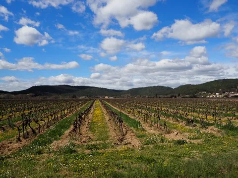 paysage var