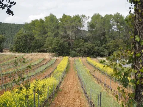paysage var