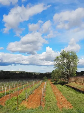 paysage var