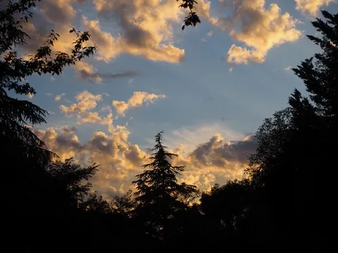 nature var
