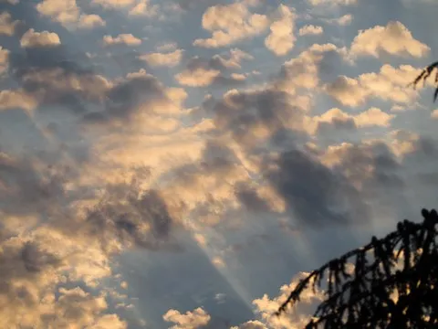 nature var