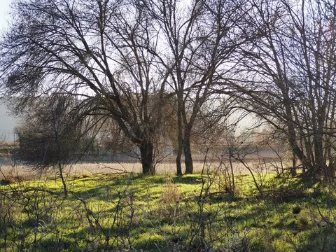 nature var