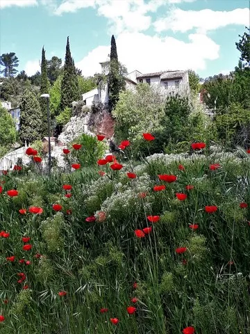 paysage var
